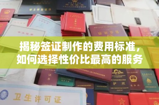 当阳揭秘签证制作的费用标准，如何选择性价比最高的服务？